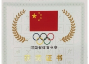 开云体育下载-柔道选手实现夺金梦想，创造历史佳绩的简单介绍