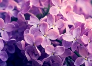 开云平台-迪亚斯关键时刻站出来，英格兰击溃AC米兰，一场战术与意志的胜利