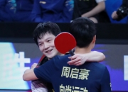 开云体育app-包含法国队力克波兰队，樊振东点燃赛场的词条