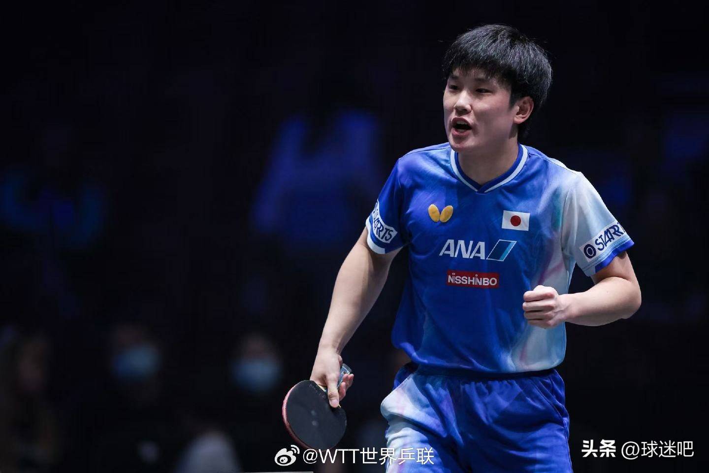 包含德国队鏖战法国队，张本智和关键制胜的词条