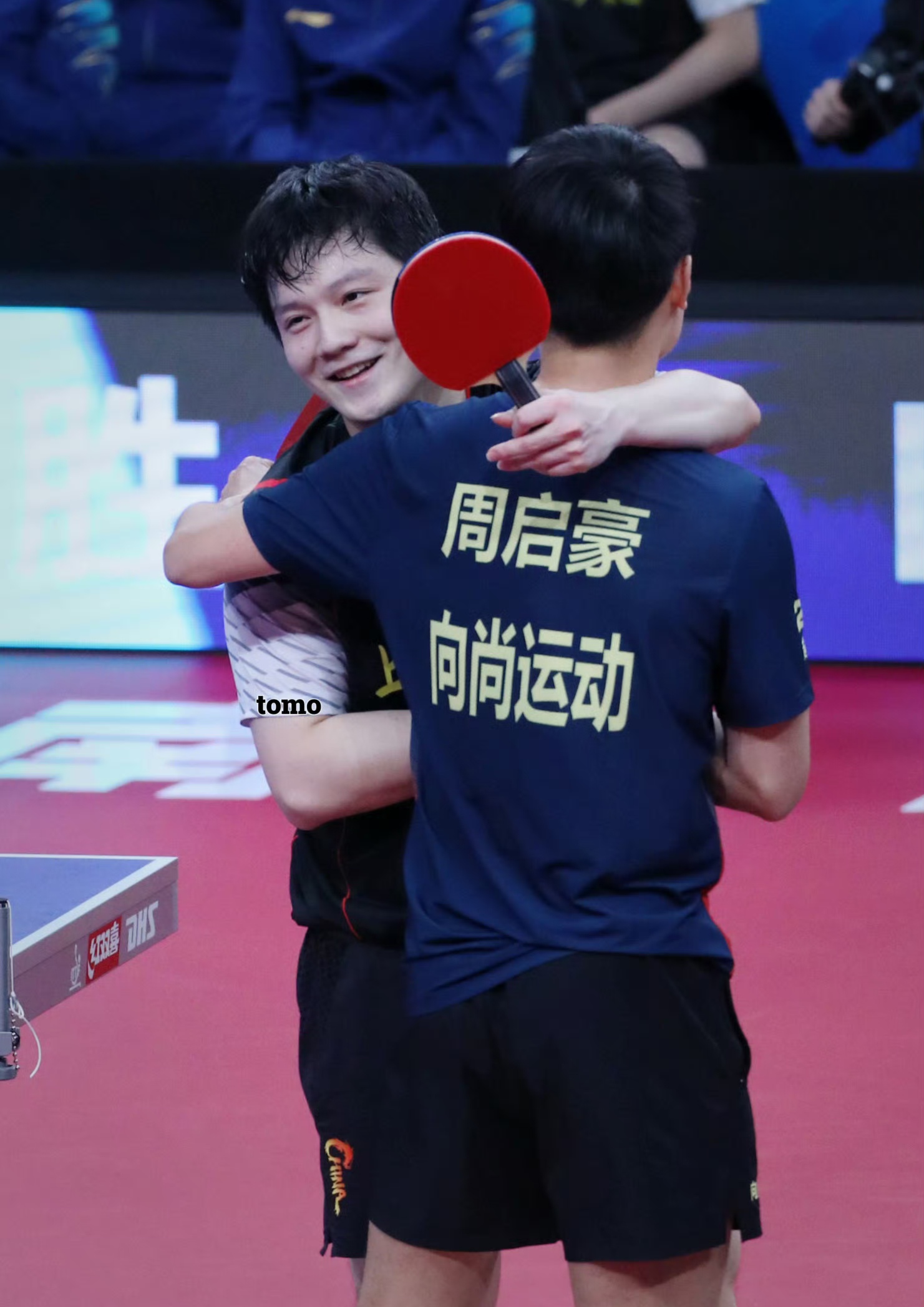 包含法国队力克波兰队，樊振东点燃赛场的词条