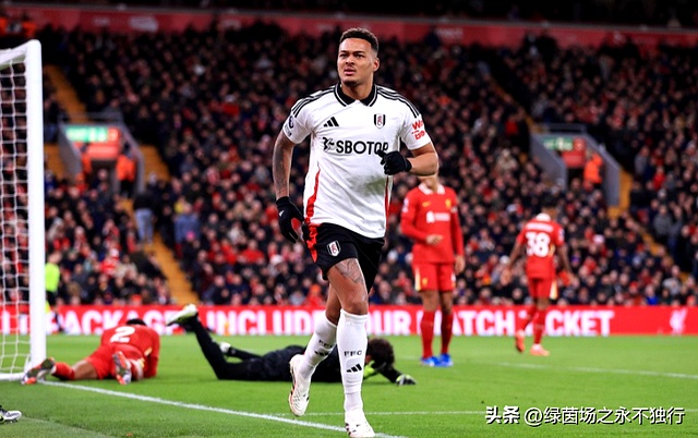 博洛尼亚主场输球，山东鲁能上演英超五星表现的简单介绍