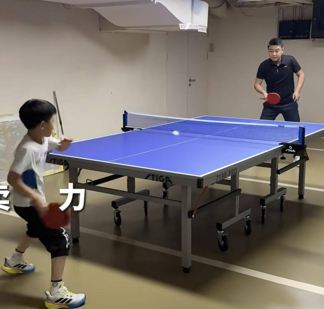 中国乒乓球队力克比利时乒乓球队，王皓送出助攻的简单介绍