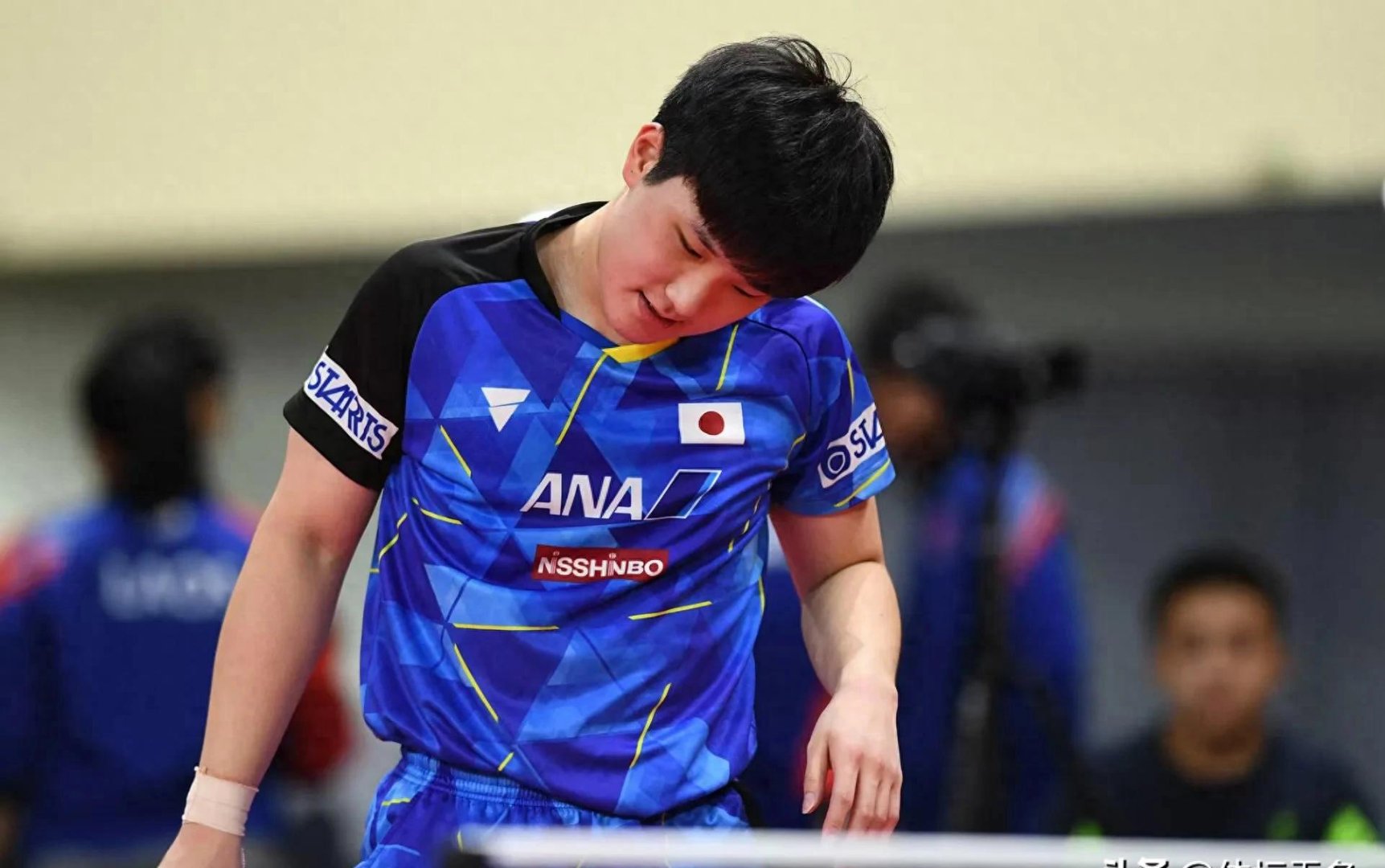 日本乒乓球队力克中国乒乓球队，张本智和关键制胜的简单介绍