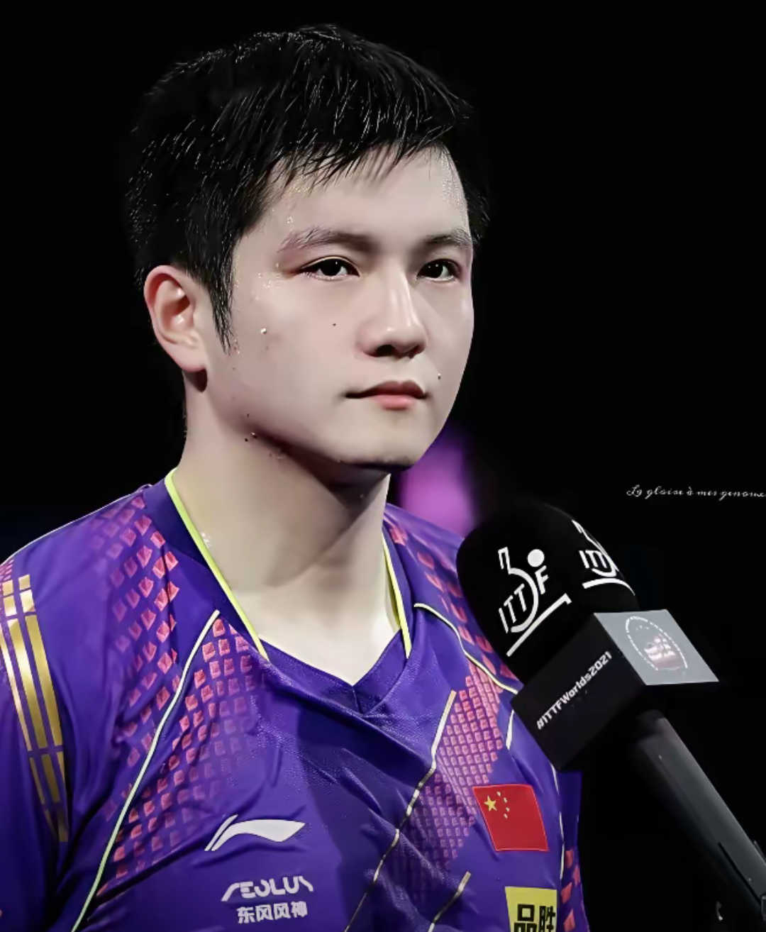 德国乒乓球队翻盘英国乒乓球队，樊振东三分雨点燃全场的简单介绍