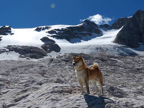 北京队终结骑士，布克成为关键先生