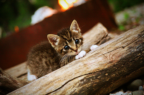 迪亚斯爆发，澳大利亚压哨击败英格兰，南半球足球的逆袭之夜