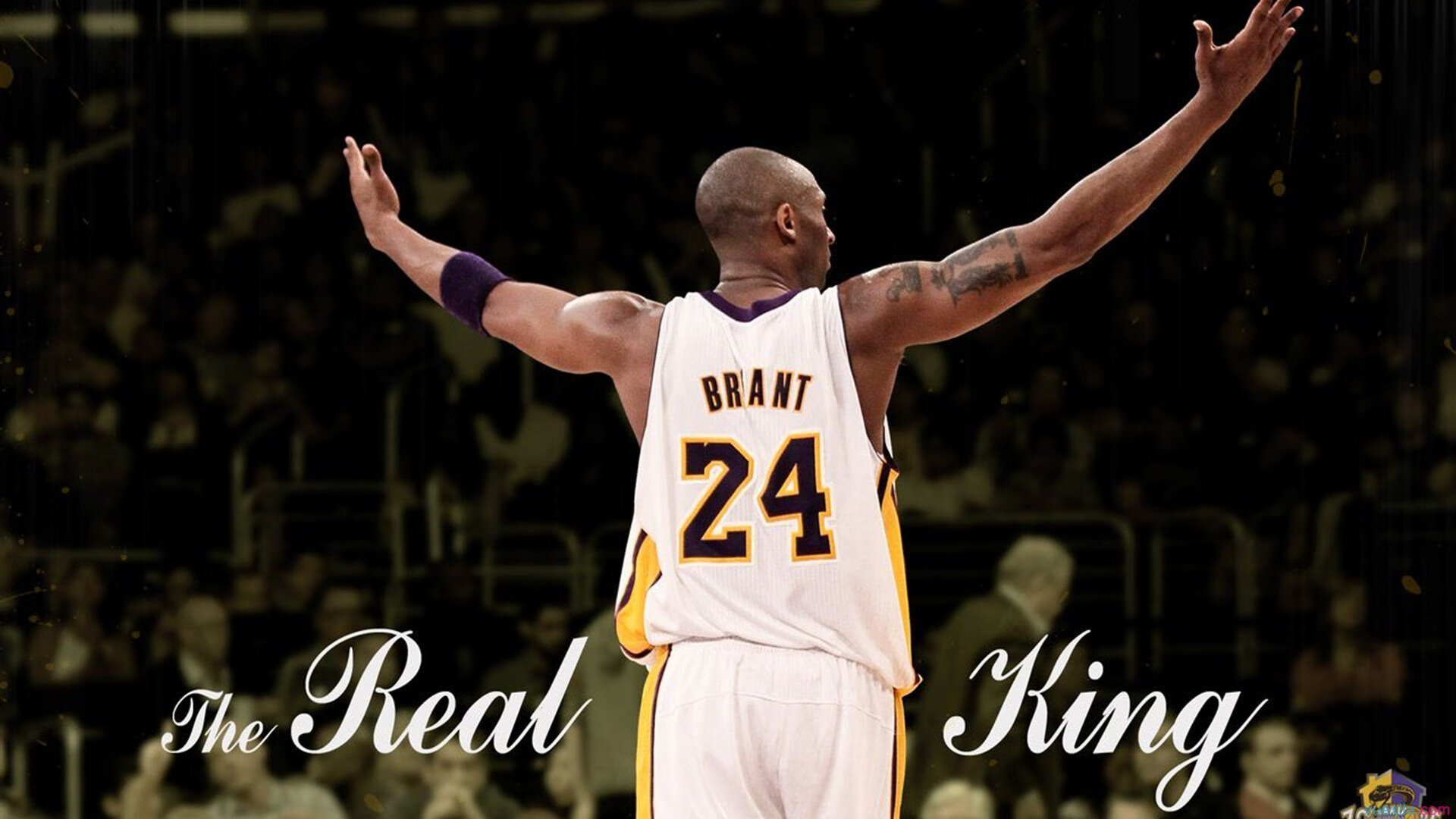 莫德里奇，美加墨世界杯之夜，压力熔炉中绽放的黄金意志